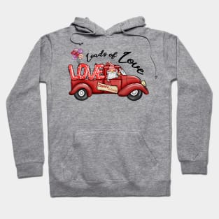 Load Of Love Gnome Valentine Day Truck Hoodie